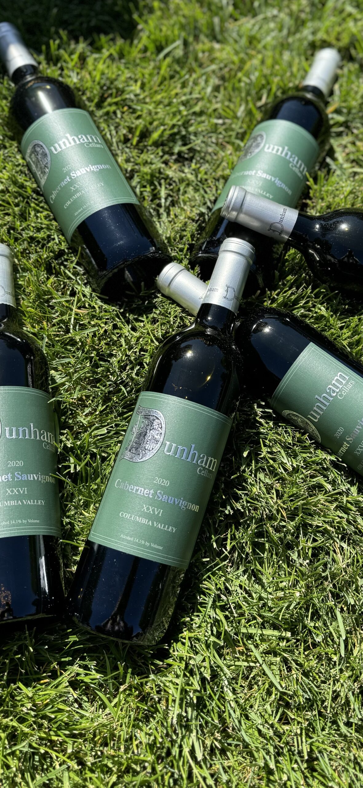 A Wine-Tasting Adventure through the Gorges of the Lower Salmon River