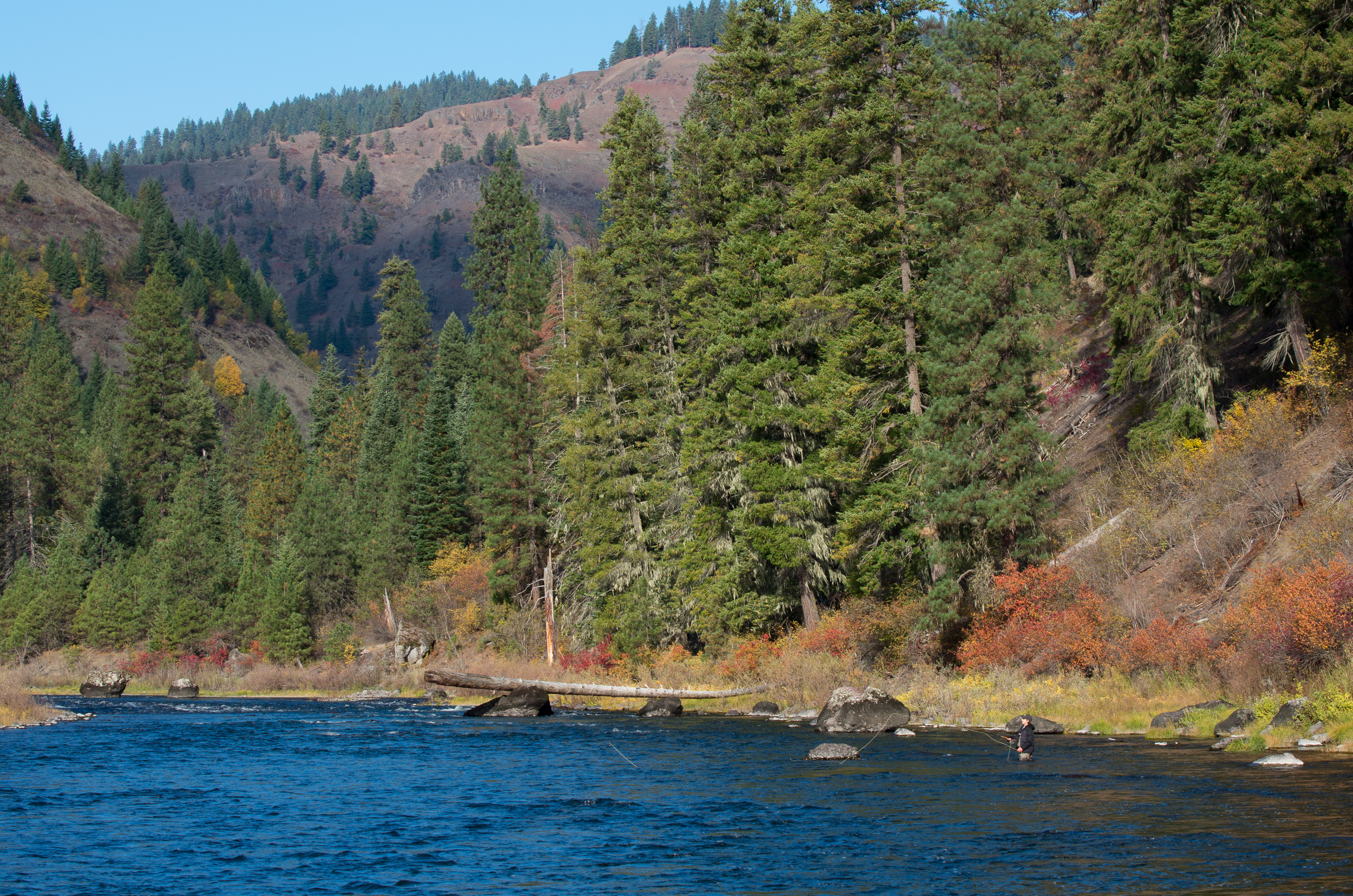 Full Day Guided Fly Fishing Wallowa Roadless With Railroad Shuttle